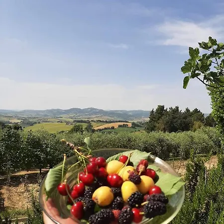Lantgård L'uliveto Pesaro