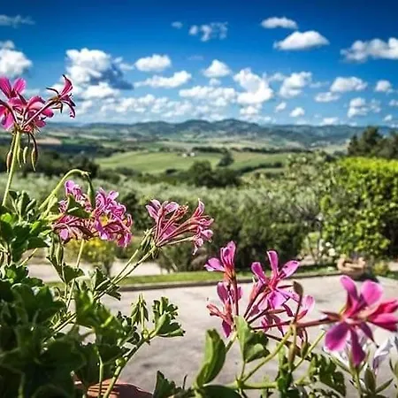 L'uliveto Agroturismo Pésaro