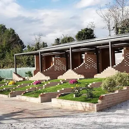 Agroturismo L'uliveto *